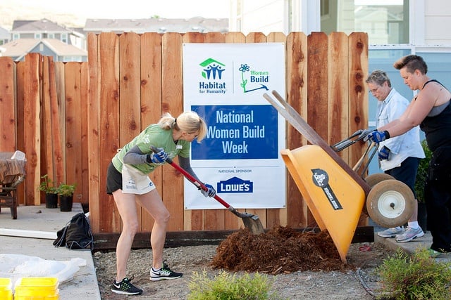 Habitat Construction Update