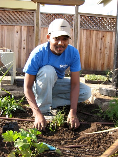 HabitatGardens