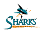 Sharks Foundation