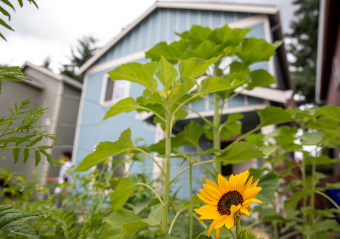 Watch your gift grow like a flower in front of a home.